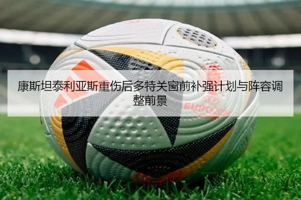 康斯坦泰利亚斯重伤后多特关窗前补强计划与阵容调整前景